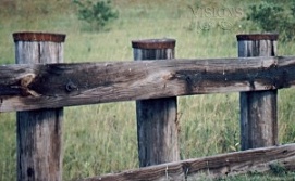 Old Fence