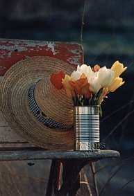 Tulips&Hat